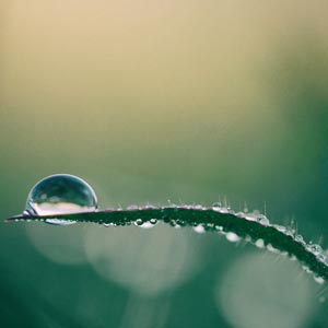 防水、防潮溫